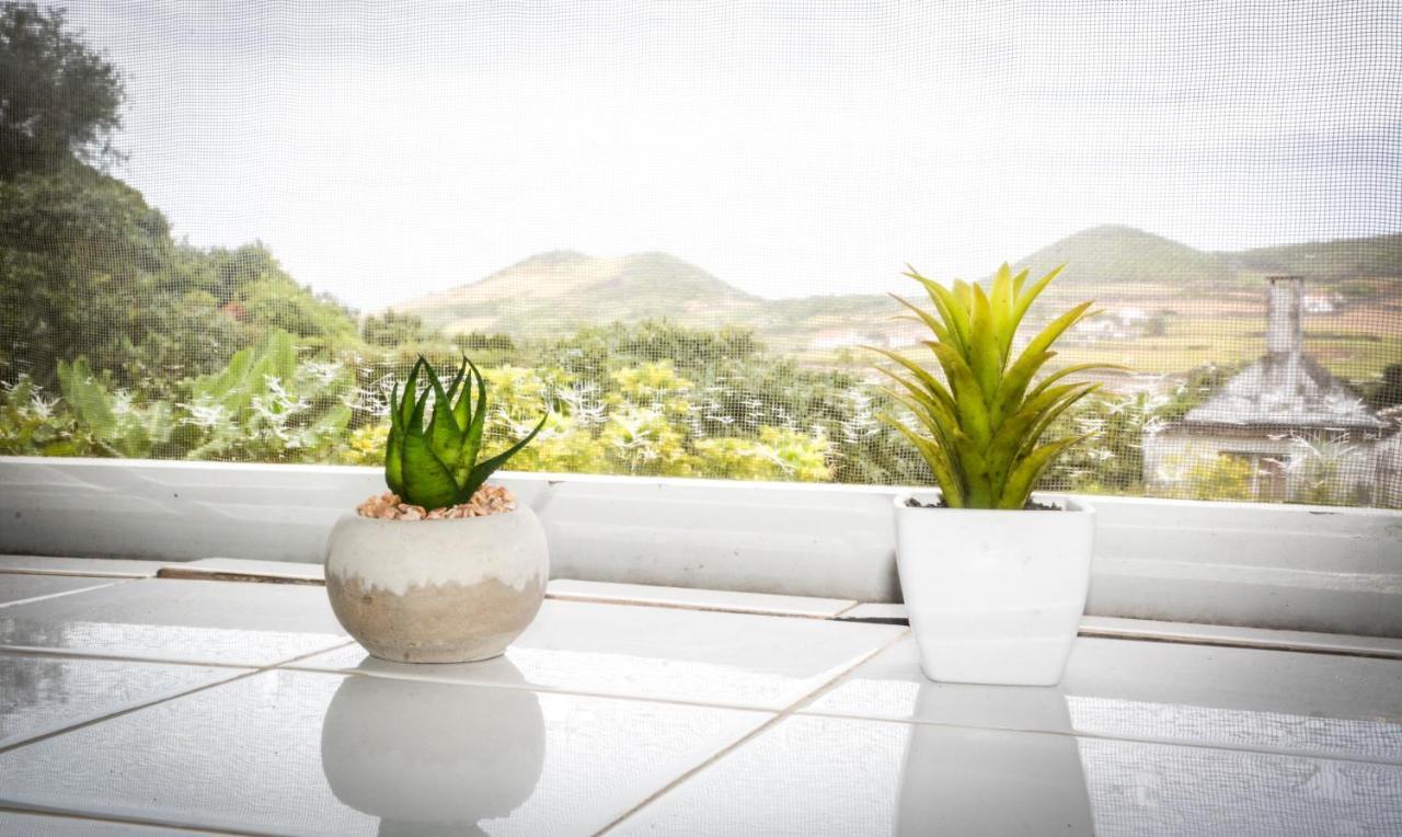 Quinta Dos Frutos Villa Санта Крус да Грасиоза Екстериор снимка