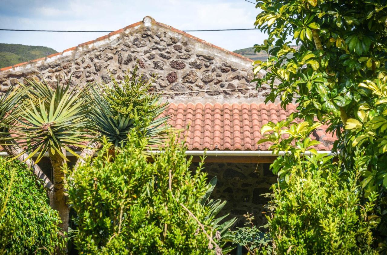 Quinta Dos Frutos Villa Санта Крус да Грасиоза Екстериор снимка