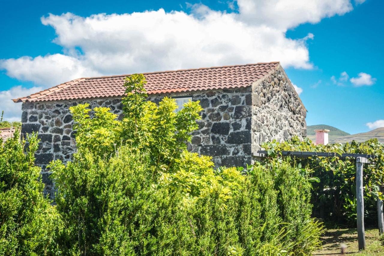 Quinta Dos Frutos Villa Санта Крус да Грасиоза Екстериор снимка